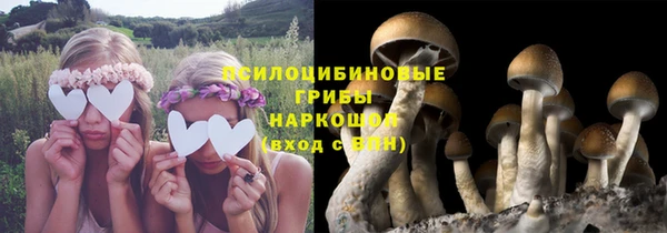 сатива Покровск