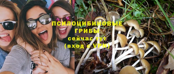 сатива Покровск