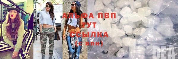 прущий лед Пересвет
