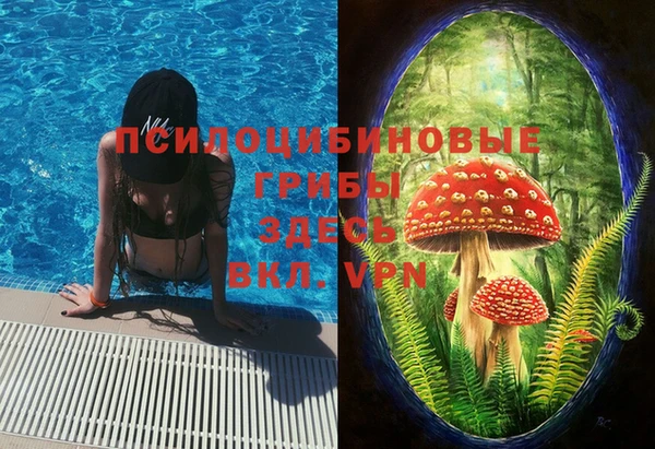 сатива Покровск